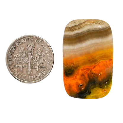 Indonesian Bumble Bee 18.3x29.3x5 mm Cushion Shape Polished Gemstone LS69-05884
