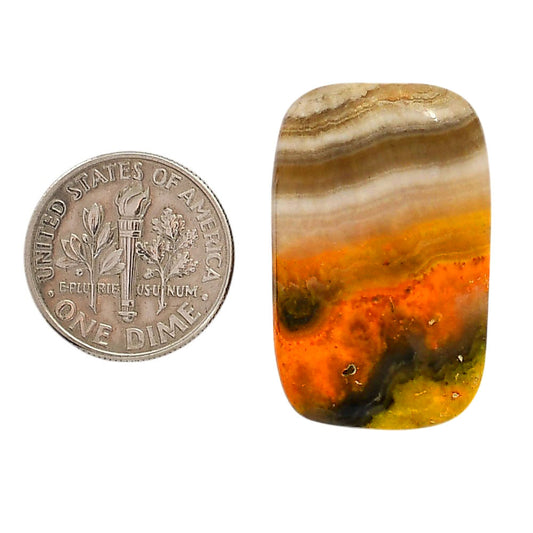 Indonesian Bumble Bee 18.3x29.3x5 mm Cushion Shape Polished Gemstone LS69-05884