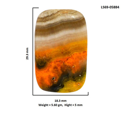 Indonesian Bumble Bee 18.3x29.3x5 mm Cushion Shape Polished Gemstone LS69-05884