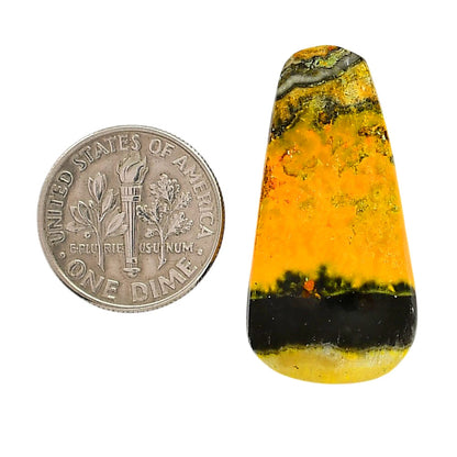 Indonesian Bumble Bee 16.3x32x5.6 mm Fancy Shape Polished Gemstone LS69-05885