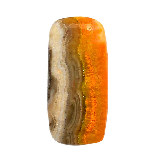 Indonesian Bumble Bee 14.3x30.3x5.5 mm Cushion Shape Polished Gemstone LS69-05886