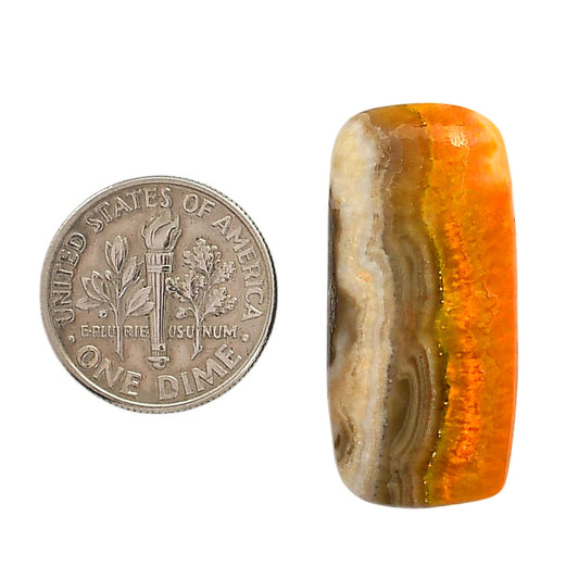 Indonesian Bumble Bee 14.3x30.3x5.5 mm Cushion Shape Polished Gemstone LS69-05886