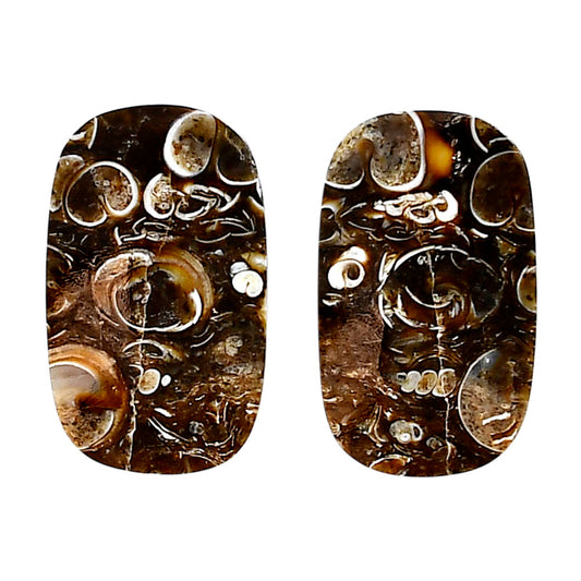 Turtella Jasper Pair 15.3x25.2x4.5 mm Cushion Shape Polished Gemstone LS70-04130