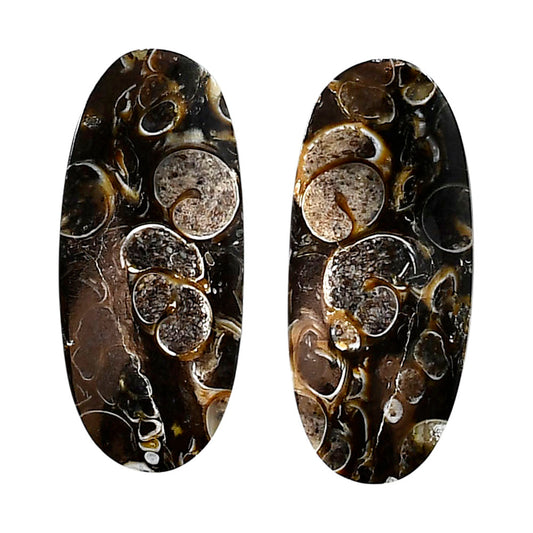 Turtella Jasper Pair 14.6x33.3x5 mm Oval Shape Polished Gemstone LS70-04131