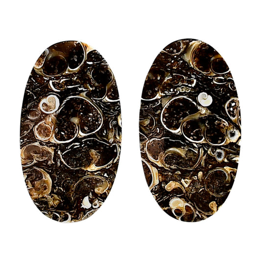 Turtella Jasper Pair 15.6x27.6x4.7 mm Oval Shape Polished Gemstone LS70-04132
