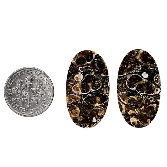 Turtella Jasper Pair 15.6x27.6x4.7 mm Oval Shape Polished Gemstone LS70-04132
