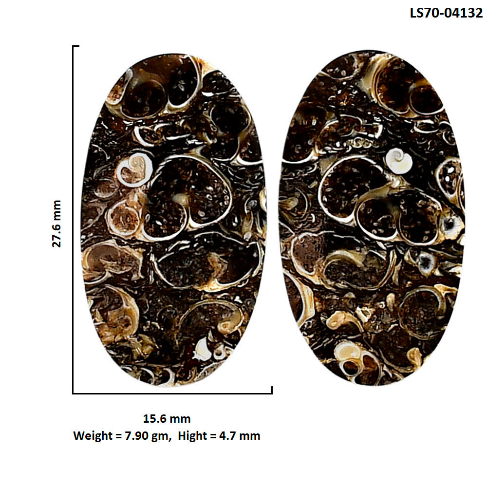 Turtella Jasper Pair 15.6x27.6x4.7 mm Oval Shape Polished Gemstone LS70-04132