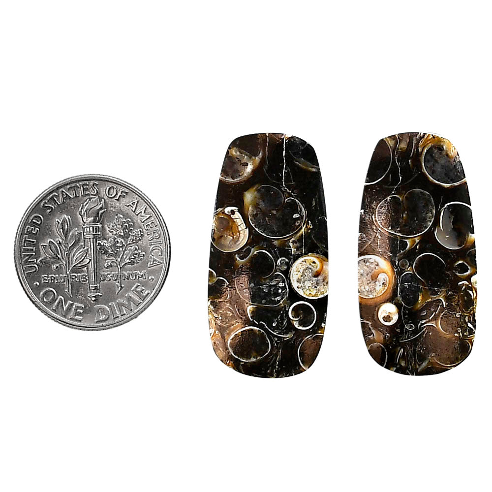 Turtella Jasper Pair 13.7x27.7x4 mm Cushion Shape Polished Gemstone LS70-04133