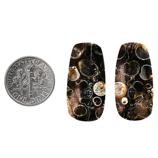Turtella Jasper Pair 13.7x27.7x4 mm Cushion Shape Polished Gemstone LS70-04133