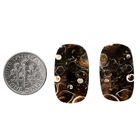 Turtella Jasper Pair 14.2x23.9x4 mm Cushion Shape Polished Gemstone LS70-04134