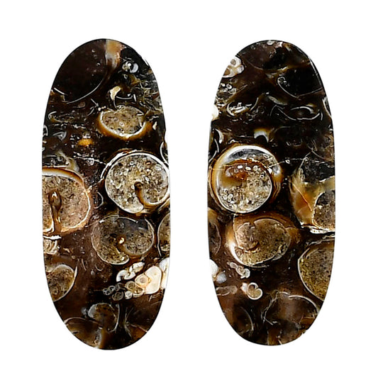 Turtella Jasper Pair 13.3x31.8x5 mm Oval Shape Polished Gemstone LS70-04135