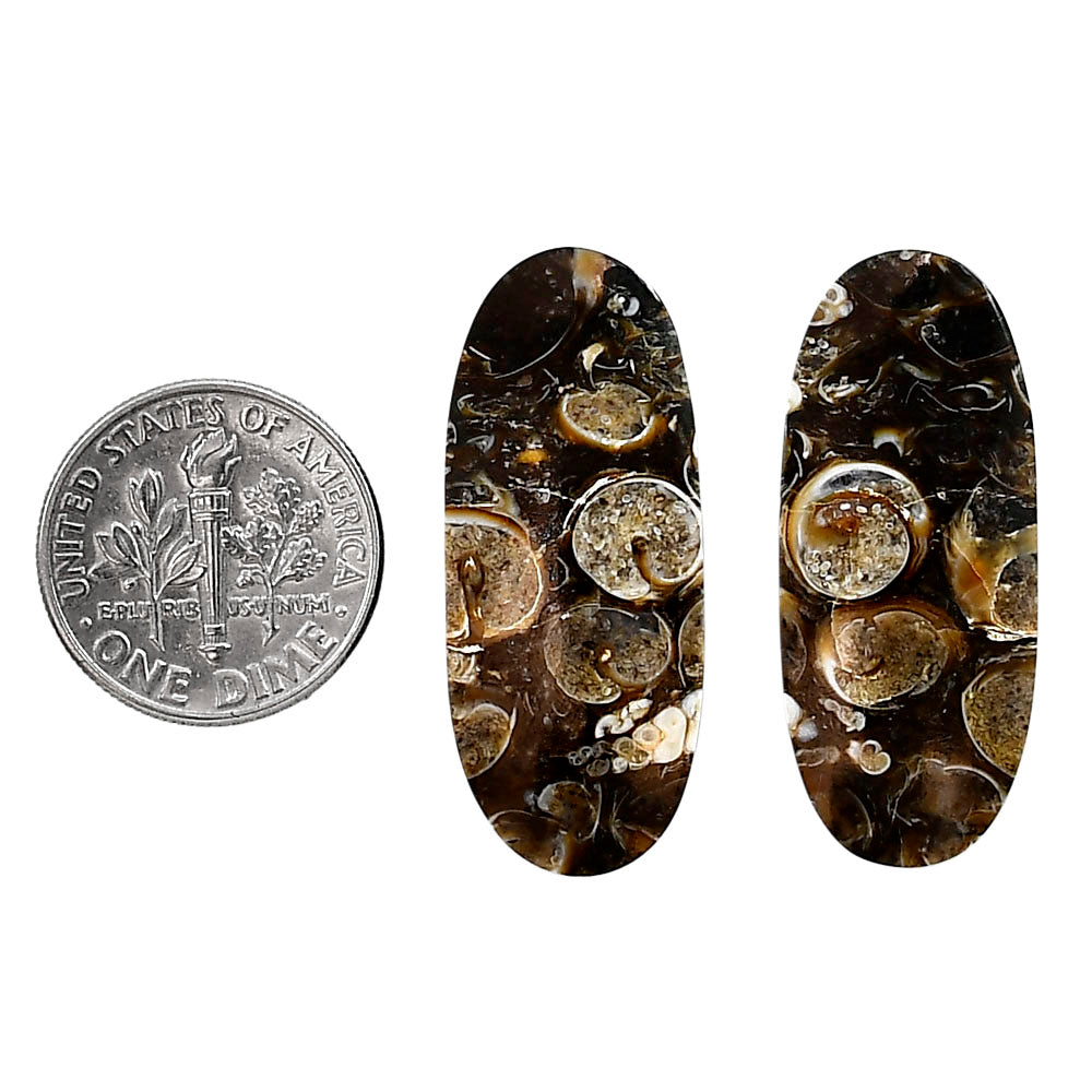 Turtella Jasper Pair 13.3x31.8x5 mm Oval Shape Polished Gemstone LS70-04135