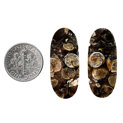 Turtella Jasper Pair 13.3x31.8x5 mm Oval Shape Polished Gemstone LS70-04135
