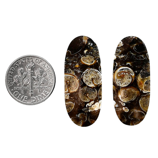 Turtella Jasper Pair 13.3x31.8x5 mm Oval Shape Polished Gemstone LS70-04135
