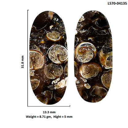 Turtella Jasper Pair 13.3x31.8x5 mm Oval Shape Polished Gemstone LS70-04135