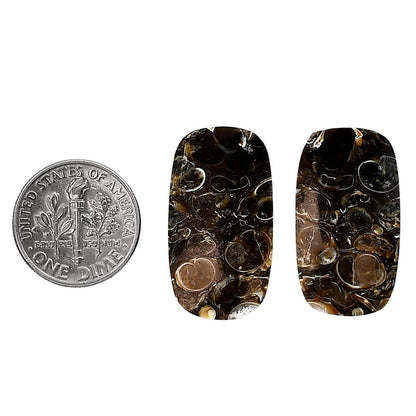 Turtella Jasper Pair 14.6x26x5 mm Cushion Shape Polished Gemstone LS70-04136