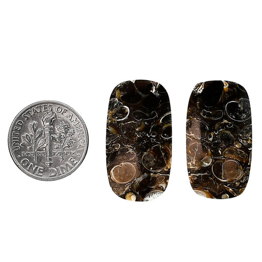 Turtella Jasper Pair 14.6x26x5 mm Cushion Shape Polished Gemstone LS70-04136