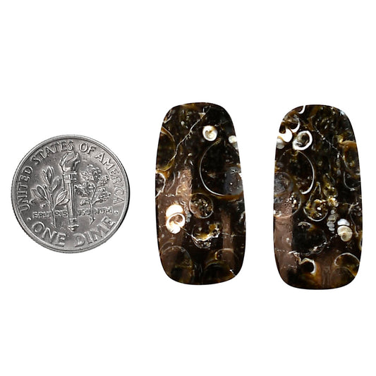 Turtella Jasper Pair 13.5x27.3x5 mm Cushion Shape Polished Gemstone LS70-04137