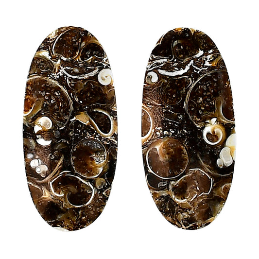 Turtella Jasper Pair 14.4x30.7x5 mm Oval Shape Polished Gemstone LS70-04139