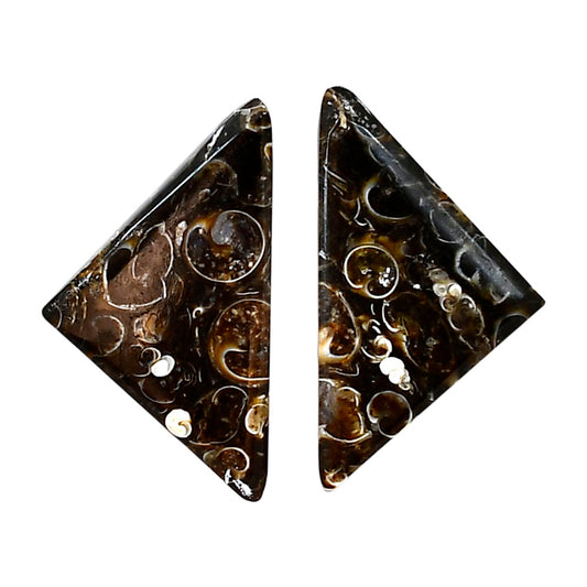 Turtella Jasper Pair 18.5x32.7x5.5 mm Fancy Shape Polished Gemstone LS70-04140