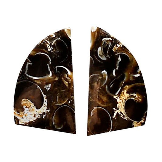 Turtella Jasper Pair 12.5x21.5x4 mm Fancy Shape Polished Gemstone LS70-04142