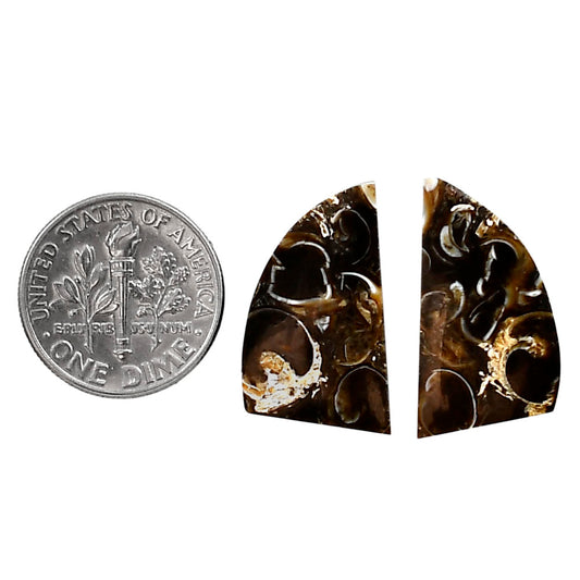 Turtella Jasper Pair 12.5x21.5x4 mm Fancy Shape Polished Gemstone LS70-04142