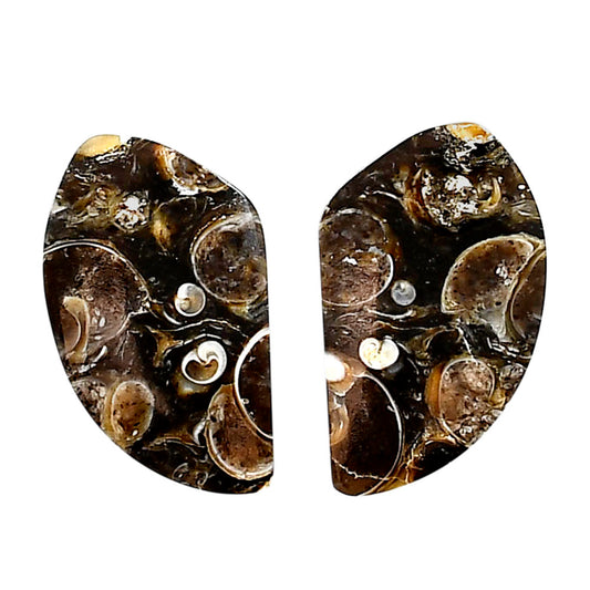 Turtella Jasper Pair 15x25.6x5 mm Fancy Shape Polished Gemstone LS70-04143