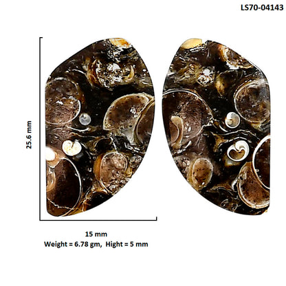 Turtella Jasper Pair 15x25.6x5 mm Fancy Shape Polished Gemstone LS70-04143