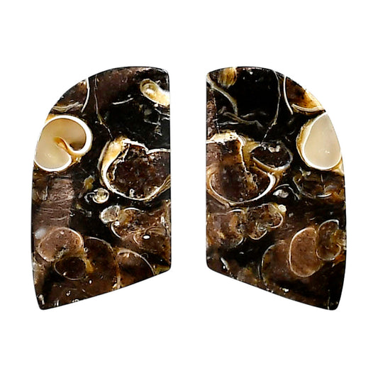 Turtella Jasper Pair 14.5x27.3x5 mm Fancy Shape Polished Gemstone LS70-04144