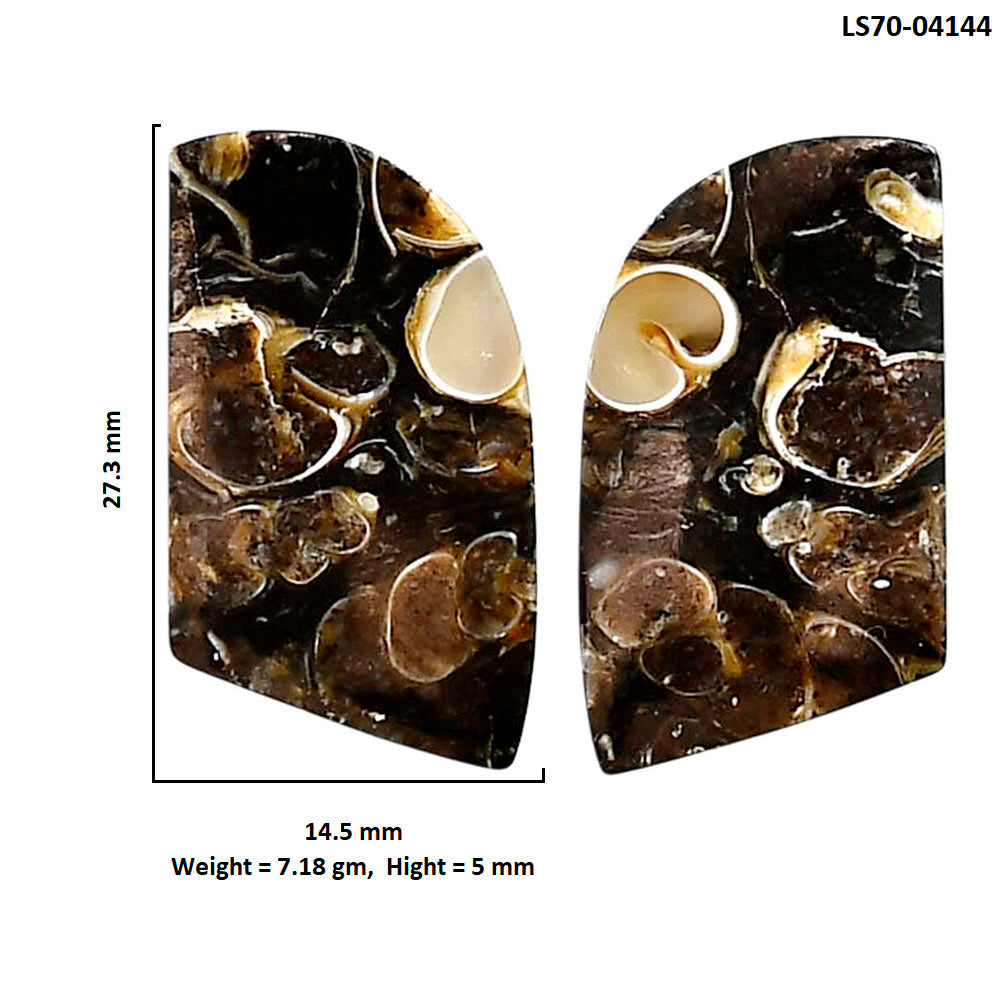 Turtella Jasper Pair 14.5x27.3x5 mm Fancy Shape Polished Gemstone LS70-04144