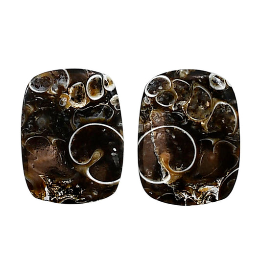 Turtella Jasper Pair 14.3x19x4.5 mm Cushion Shape Polished Gemstone LS70-04145