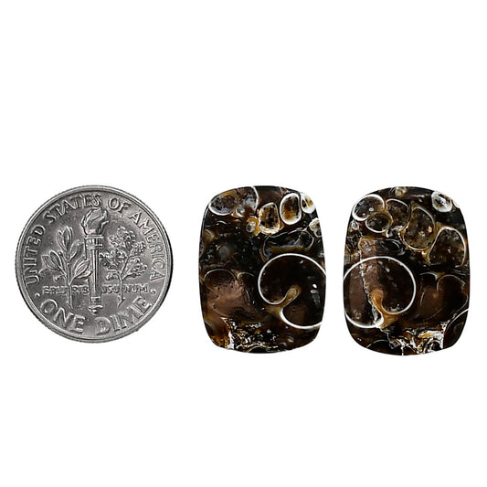 Turtella Jasper Pair 14.3x19x4.5 mm Cushion Shape Polished Gemstone LS70-04145