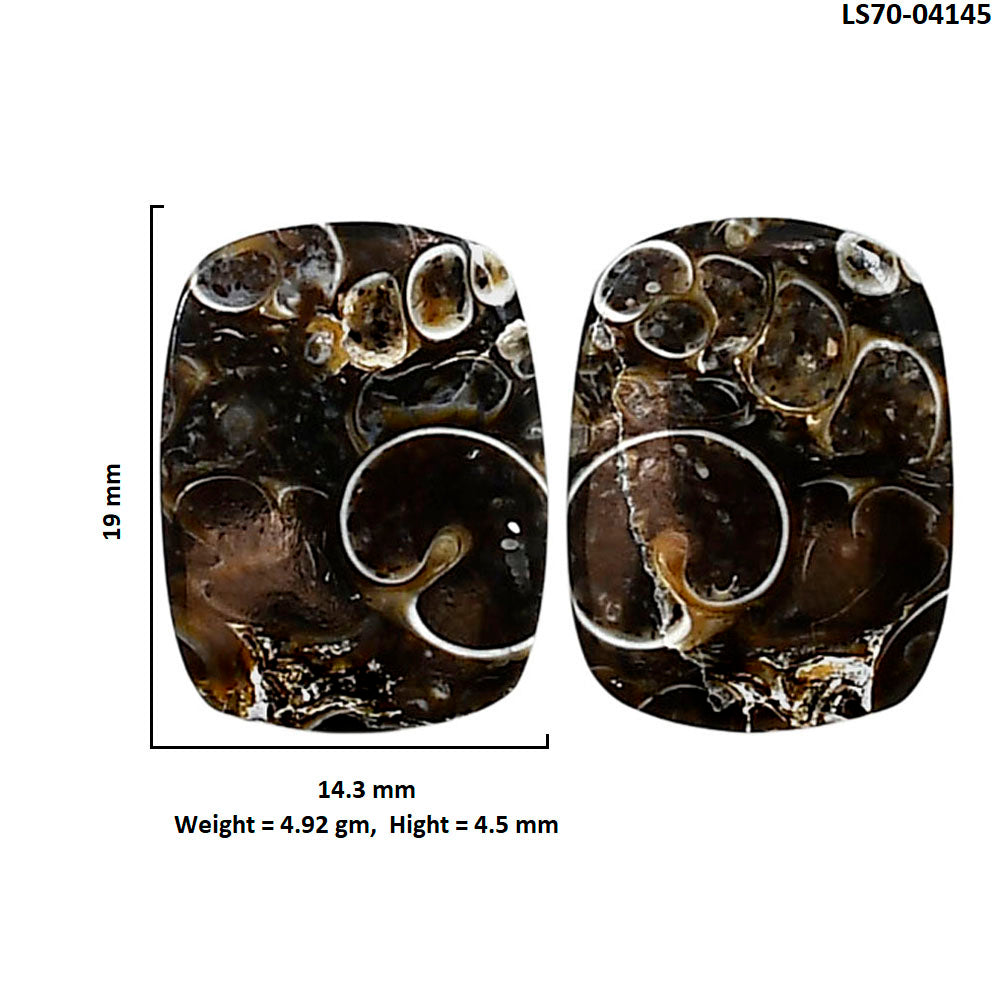 Turtella Jasper Pair 14.3x19x4.5 mm Cushion Shape Polished Gemstone LS70-04145