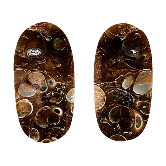 Turtella Jasper Pair 13.5x26.8x5 mm Oval Shape Polished Gemstone LS70-04146