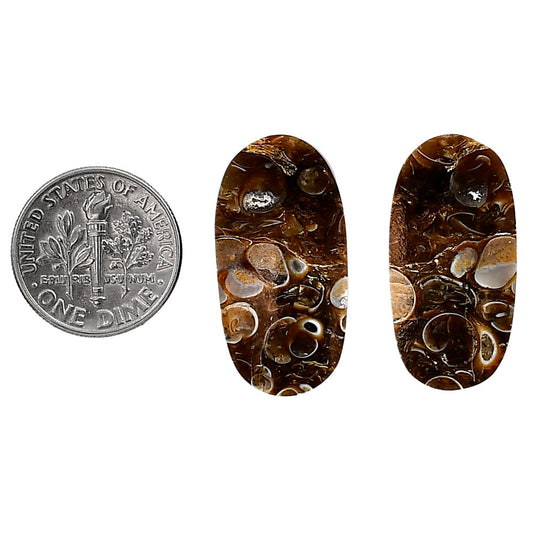 Turtella Jasper Pair 13.5x26.8x5 mm Oval Shape Polished Gemstone LS70-04146