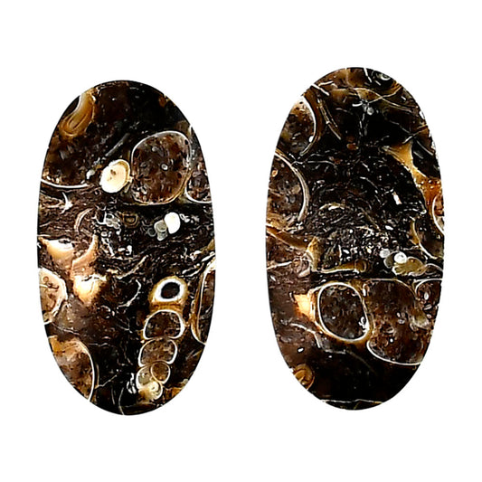 Turtella Jasper Pair 13.5x25.5x4 mm Cushion Shape Polished Gemstone LS70-04147
