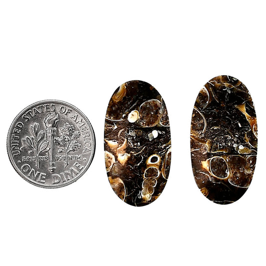 Turtella Jasper Pair 13.5x25.5x4 mm Cushion Shape Polished Gemstone LS70-04147