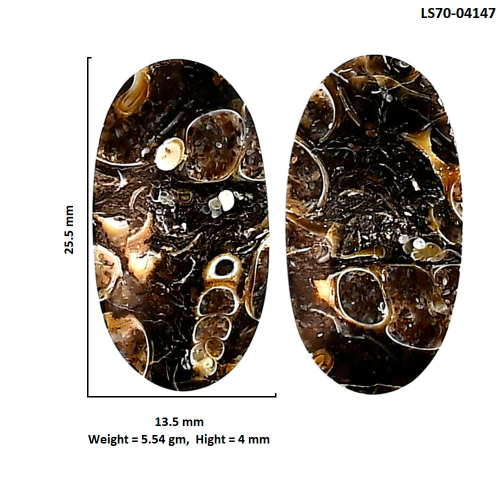 Turtella Jasper Pair 13.5x25.5x4 mm Cushion Shape Polished Gemstone LS70-04147