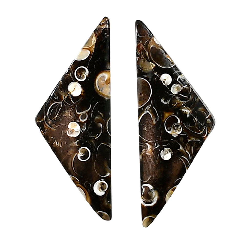 Turtella Jasper Pair 13x34.8x4 mm Fancy Shape Polished Gemstone LS70-04149