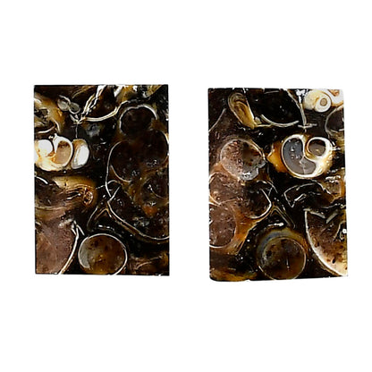 Turtella Jasper Pair 13x18.3x3.7 mm Baguette Shape Polished Gemstone LS70-04150