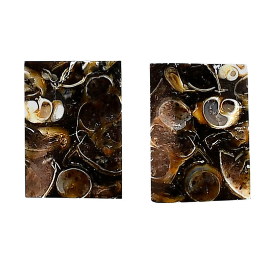 Turtella Jasper Pair 13x18.3x3.7 mm Baguette Shape Polished Gemstone LS70-04150