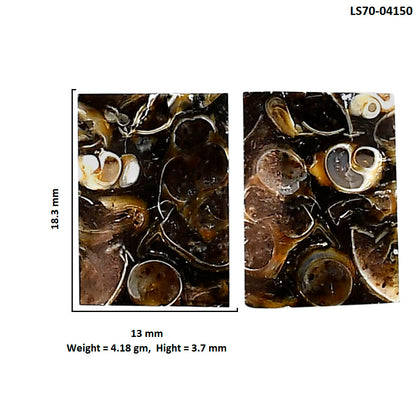 Turtella Jasper Pair 13x18.3x3.7 mm Baguette Shape Polished Gemstone LS70-04150