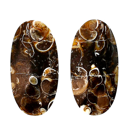 Turtella Jasper Pair 14.1x27.7x5 mm Oval Shape Polished Gemstone LS70-04151