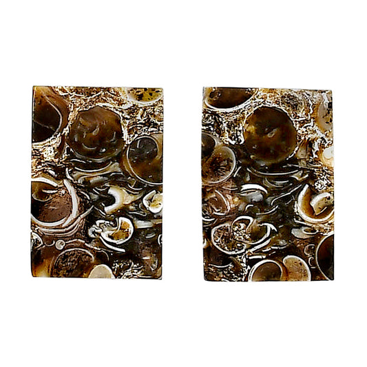 Turtella Jasper Pair 13x18.5x4.3 mm Baguette Shape Polished Gemstone LS70-04152