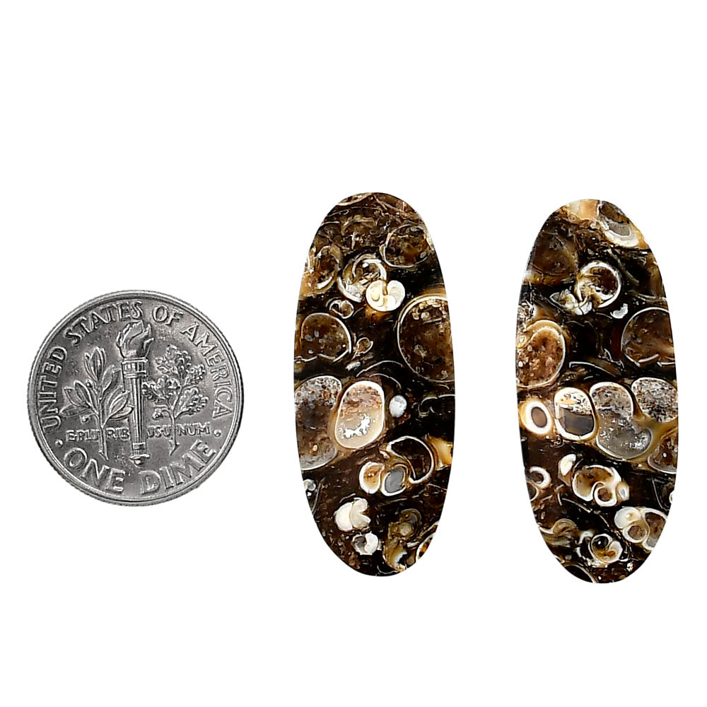 Turtella Jasper Pair 13.3x31.4x4.5 mm Oval Shape Polished Gemstone LS70-04154