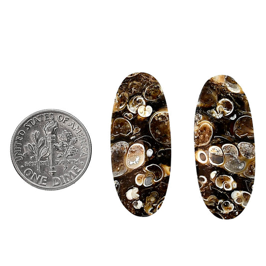 Turtella Jasper Pair 13.3x31.4x4.5 mm Oval Shape Polished Gemstone LS70-04154