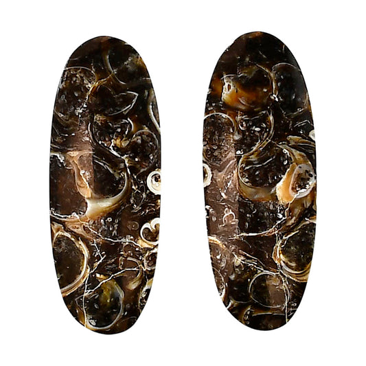 Turtella Jasper Pair 12.6x33.1x4 mm Oval Shape Polished Gemstone LS70-04155