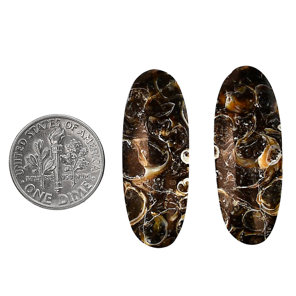 Turtella Jasper Pair 12.6x33.1x4 mm Oval Shape Polished Gemstone LS70-04155