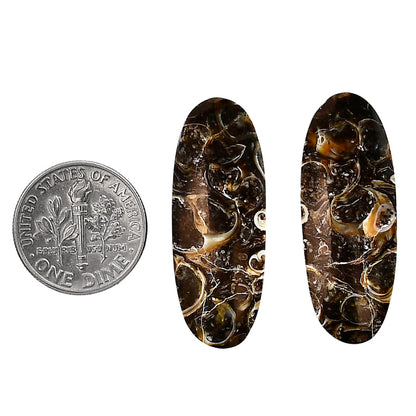 Turtella Jasper Pair 12.6x33.1x4 mm Oval Shape Polished Gemstone LS70-04155