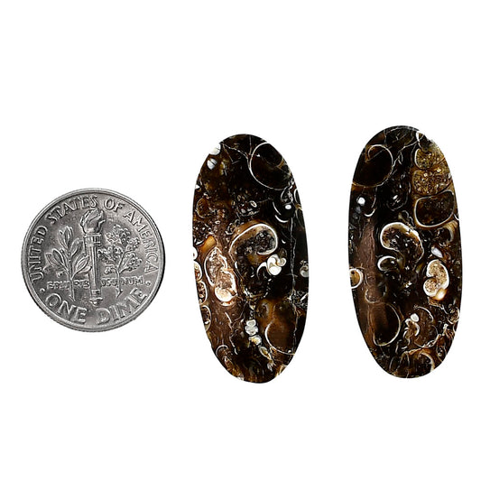 Turtella Jasper Pair 14.1x30.8x5 mm Oval Shape Polished Gemstone LS70-04156